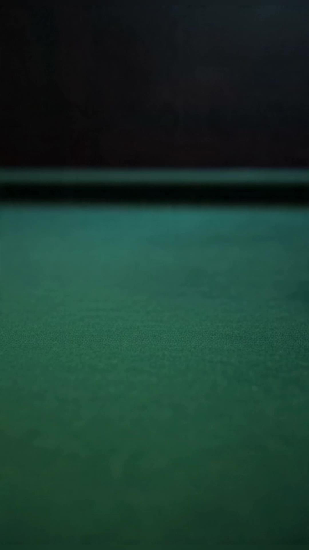 Surrender to the Silver Fox: The Master's Contract — Episode 1