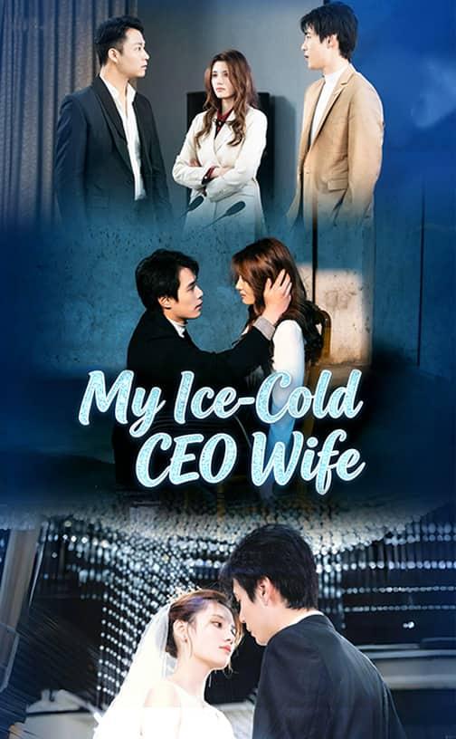 My Ice-Cold CEO Wife