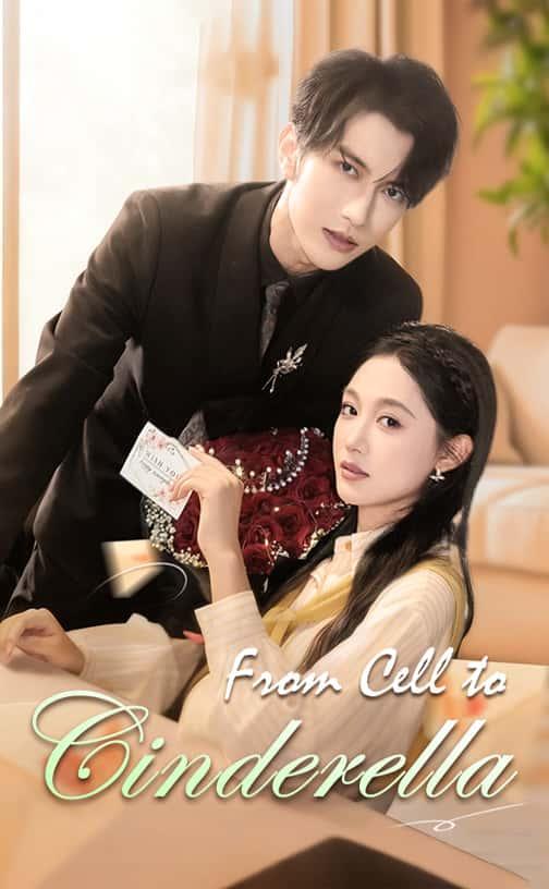 From Cell to Cinderella poster